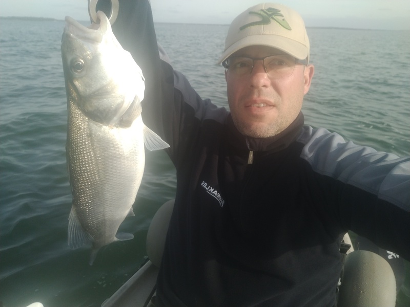 Fish Profile Picture