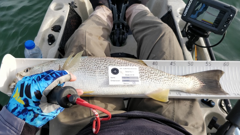 Fish Measure Picture