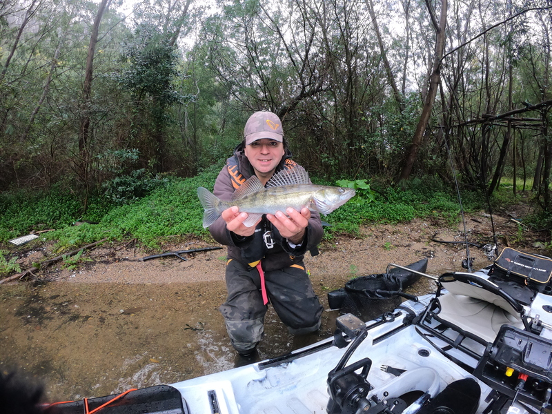 Fish Profile Picture