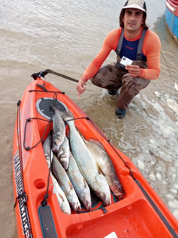 Fish Profile Picture
