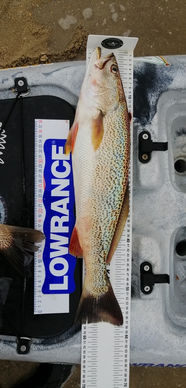 Fish Measure Picture