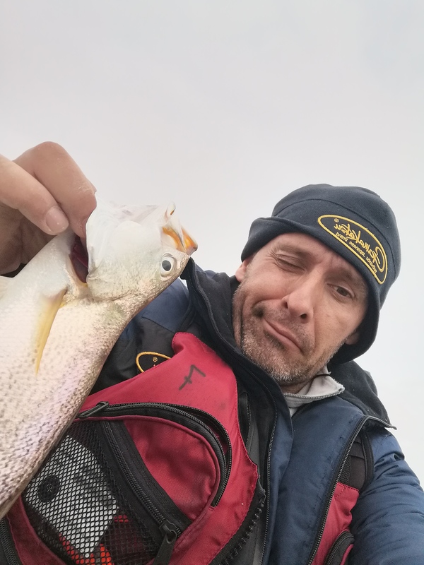 Fish Profile Picture