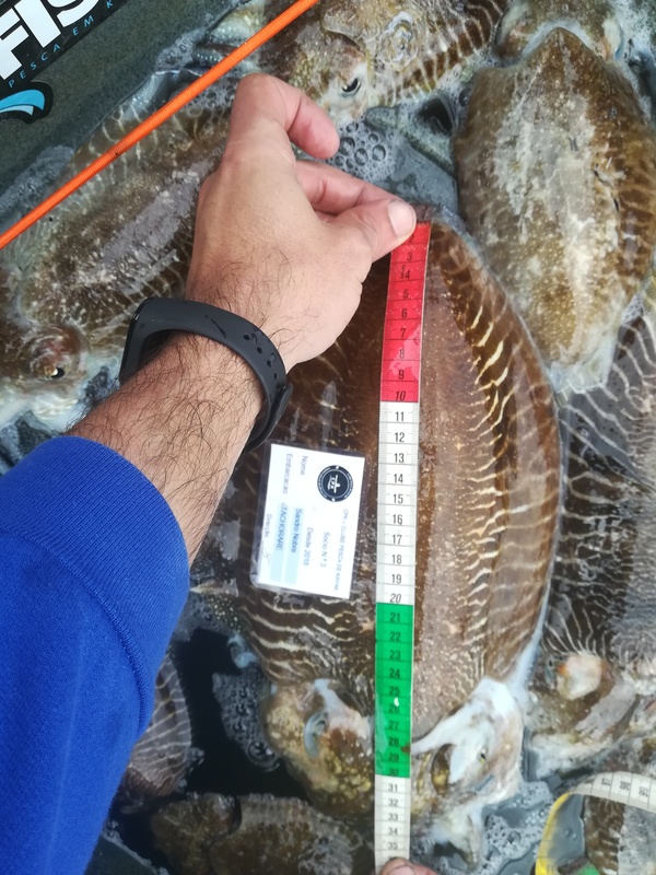 Fish Measure Picture