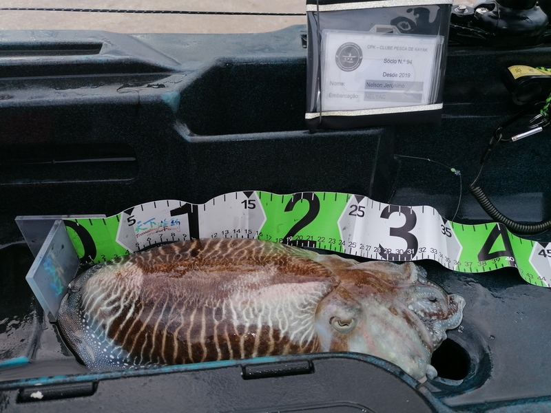 Fish Measure Picture