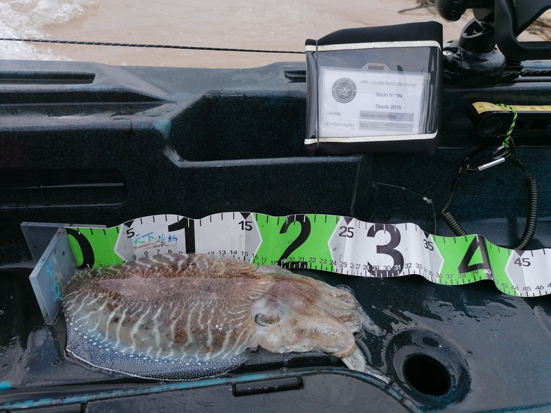 Fish Measure Picture