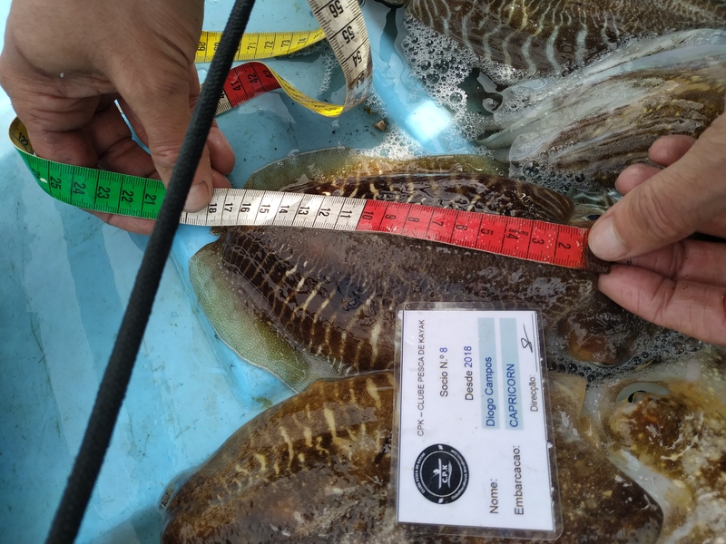 Fish Measure Picture