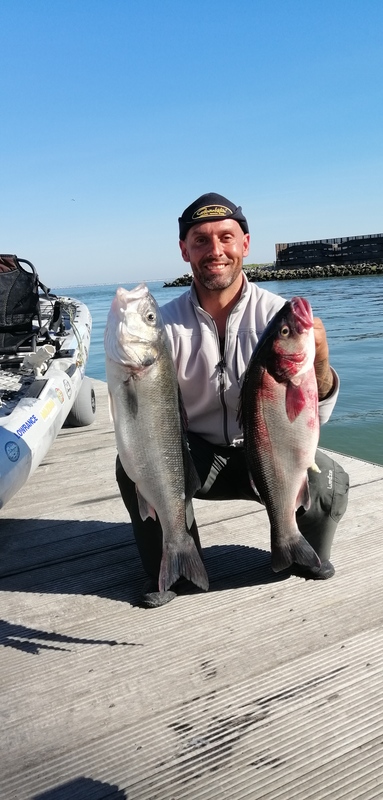 Fish Profile Picture