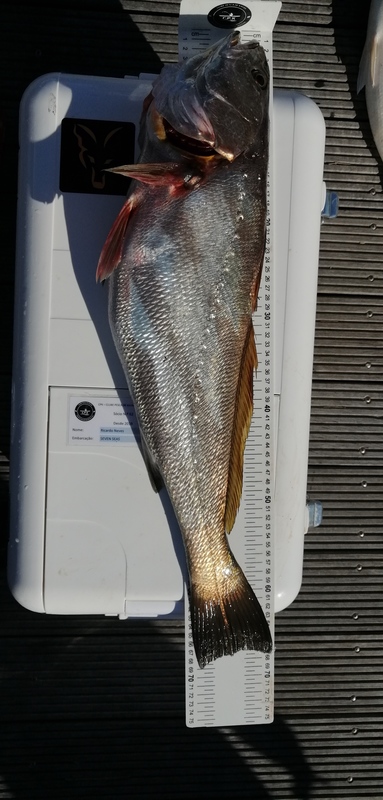 Fish Measure Picture
