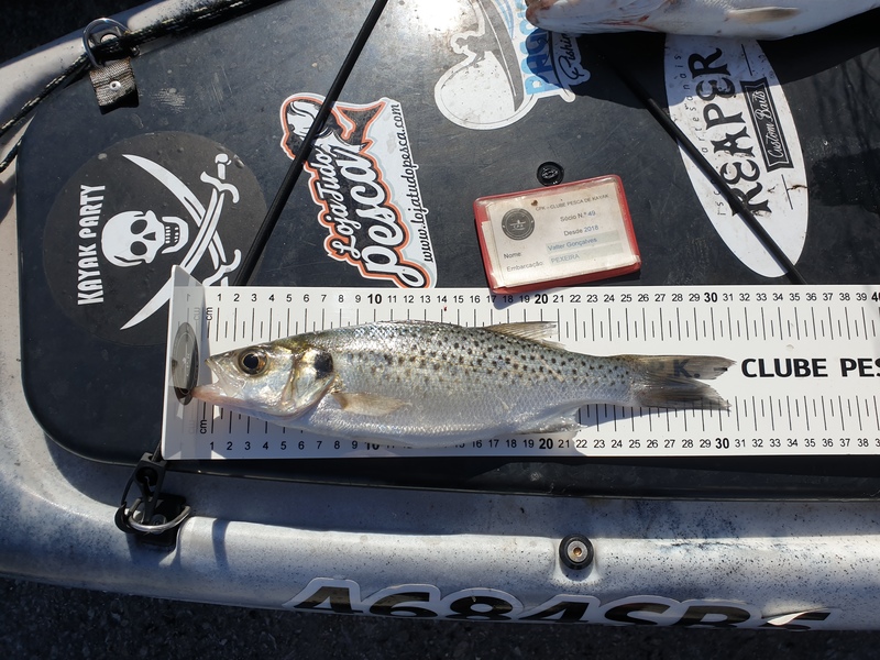 Fish Measure Picture