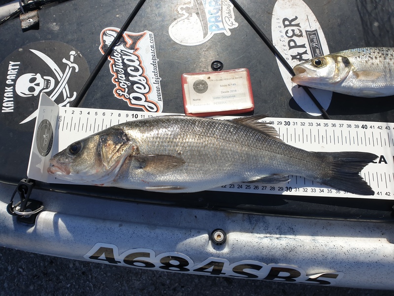 Fish Measure Picture