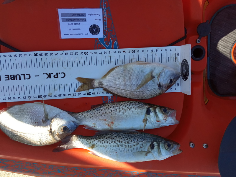 Fish Measure Picture