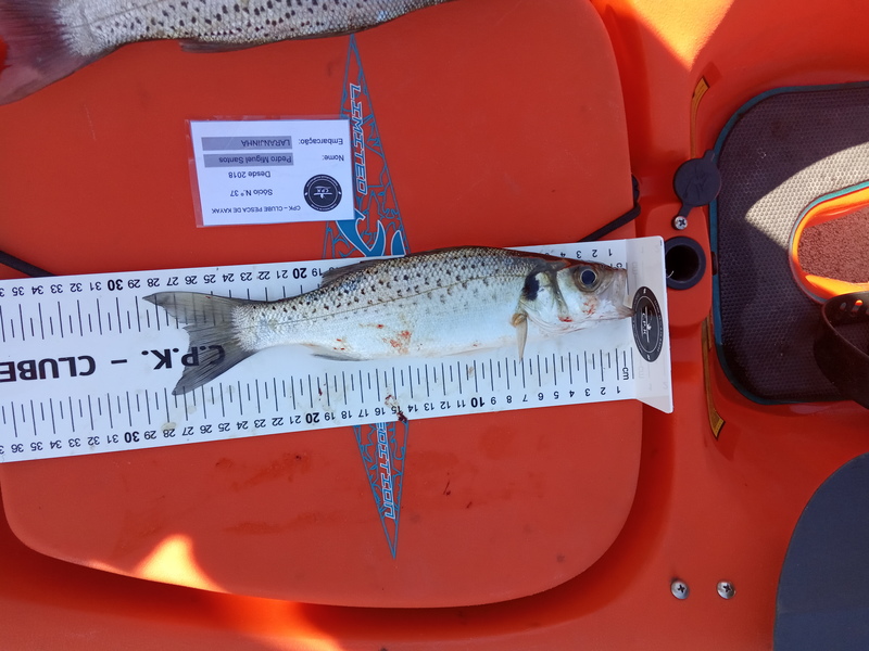 Fish Measure Picture