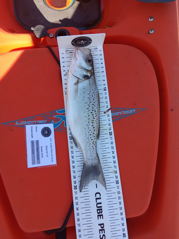 Fish Measure Picture