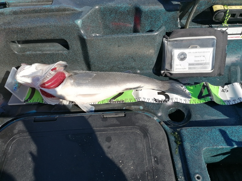 Fish Measure Picture