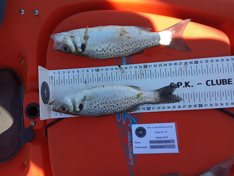 Fish Measure Picture