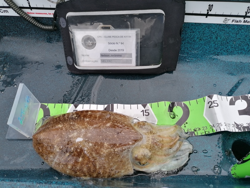 Fish Measure Picture