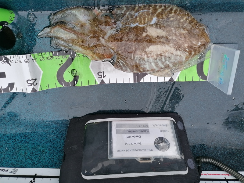 Fish Measure Picture