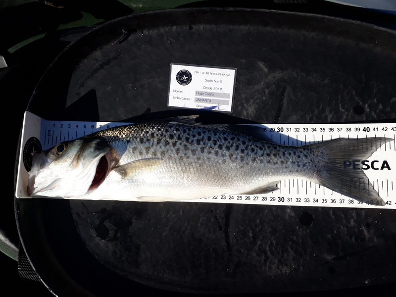 Fish Measure Picture