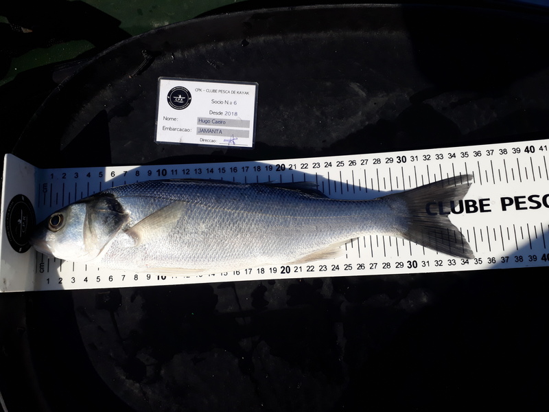 Fish Measure Picture