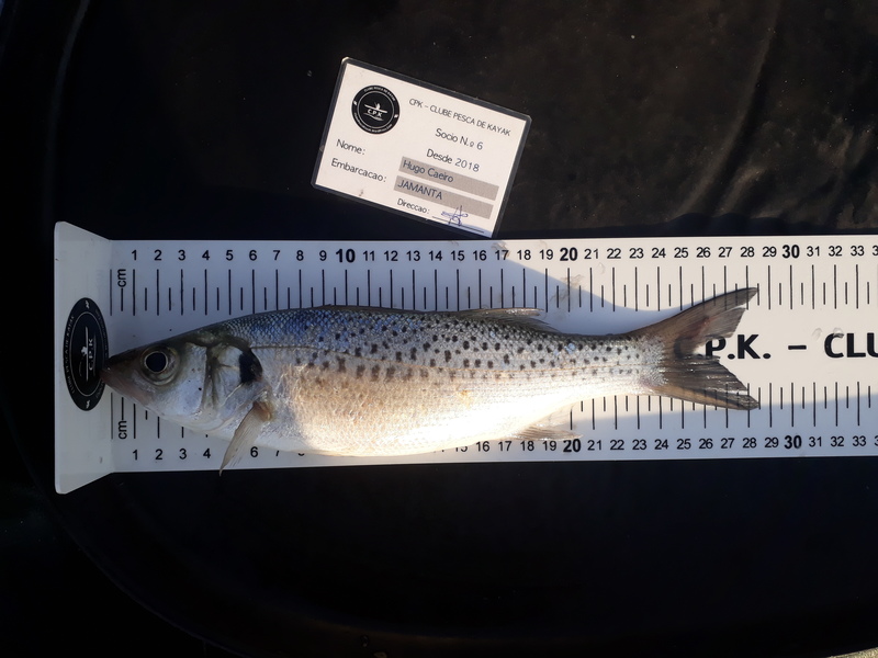 Fish Measure Picture