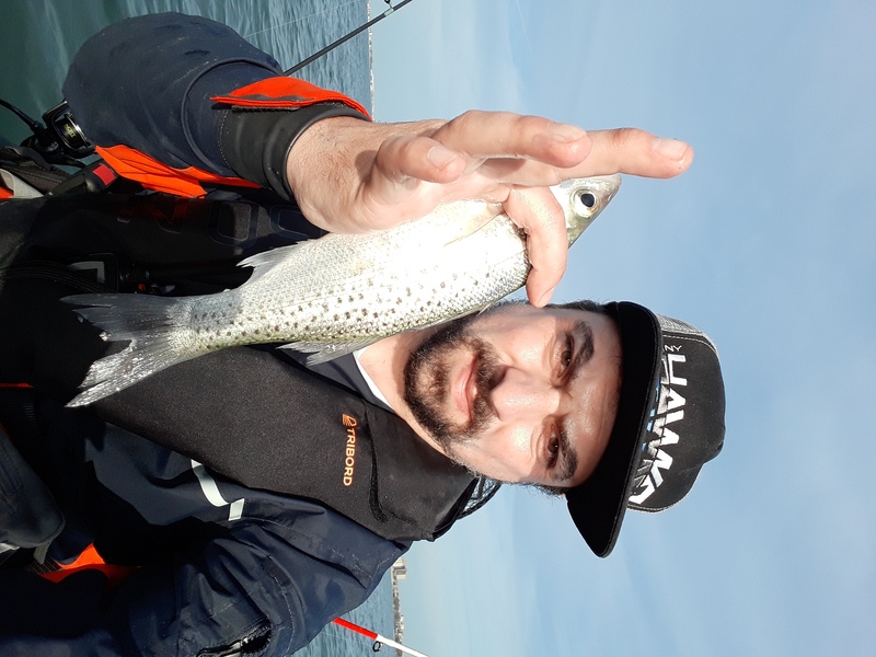 Fish Profile Picture