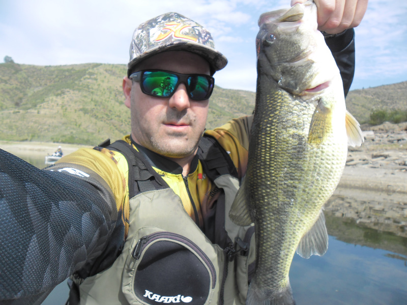 Fish Profile Picture