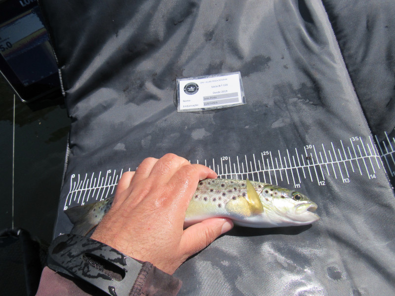 Fish Measure Picture