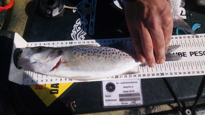Fish Measure Picture