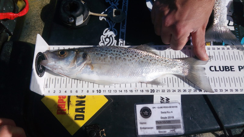 Fish Measure Picture