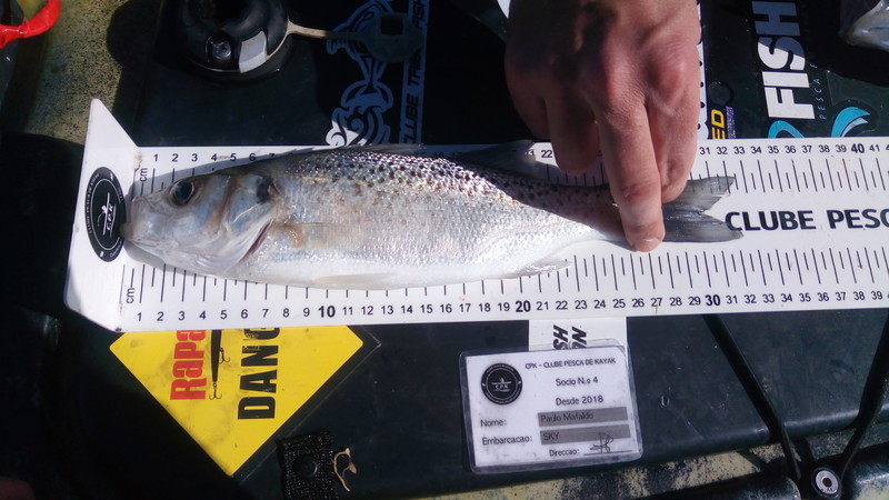 Fish Measure Picture