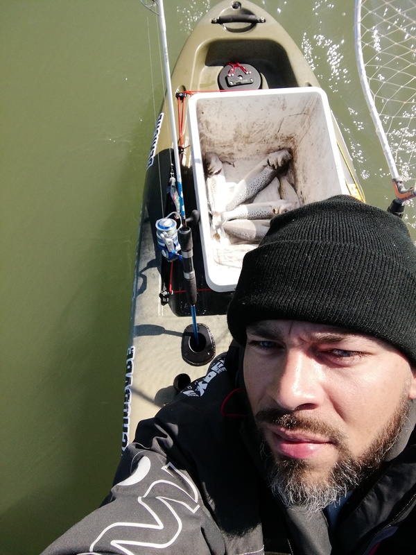 Fish Profile Picture