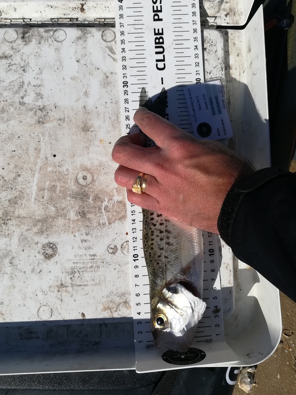 Fish Measure Picture
