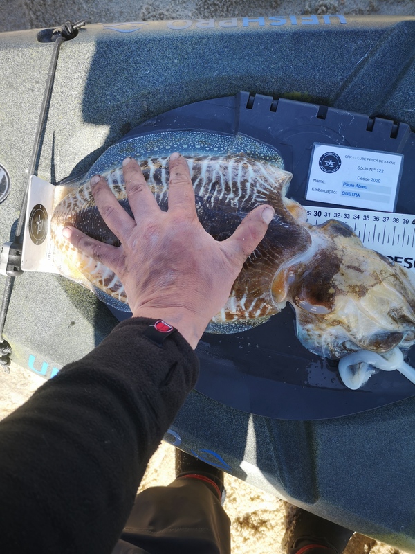Fish Measure Picture