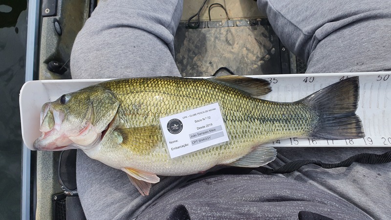 Fish Measure Picture