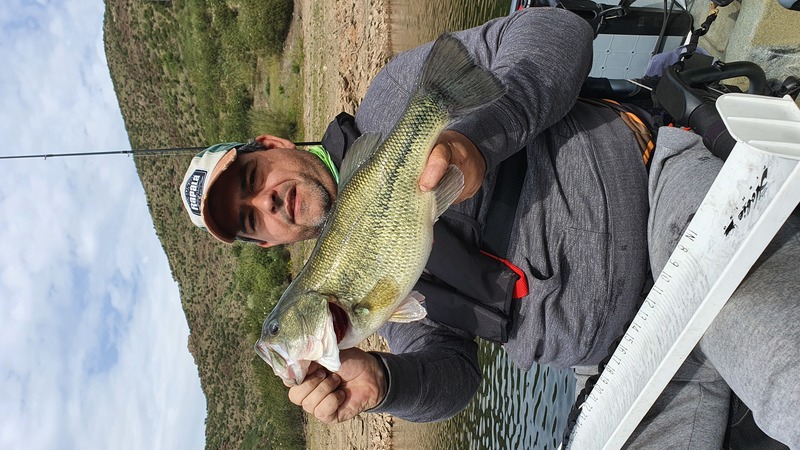 Fish Profile Picture