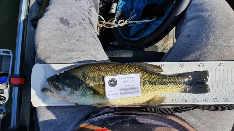 Fish Measure Picture