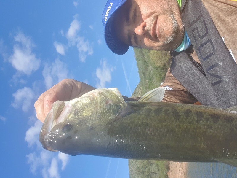 Fish Profile Picture