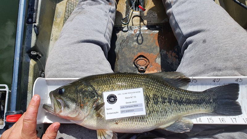 Fish Measure Picture