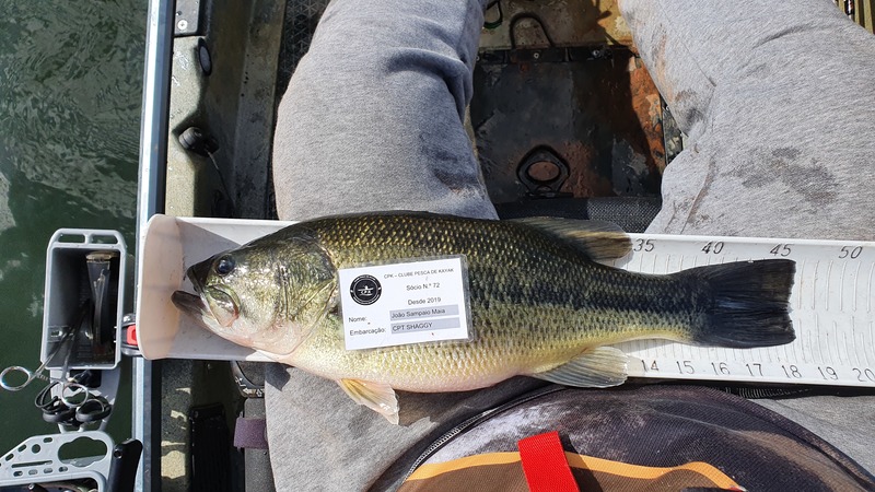 Fish Measure Picture