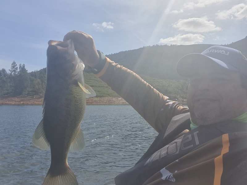 Fish Profile Picture