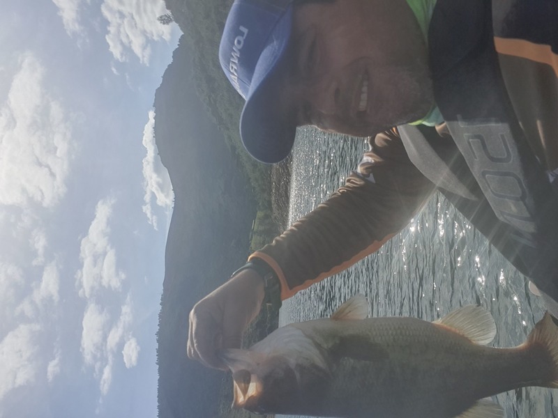 Fish Profile Picture