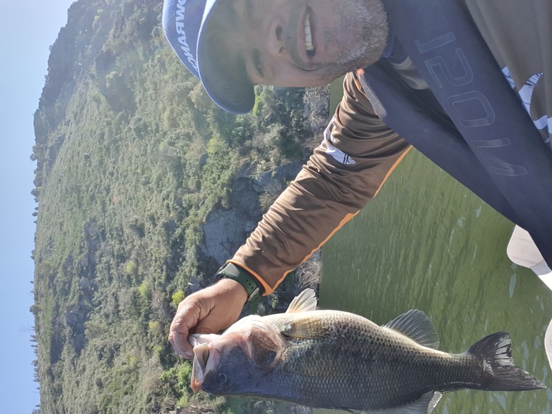 Fish Profile Picture