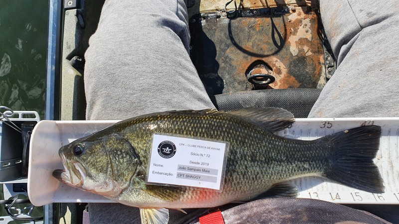 Fish Measure Picture