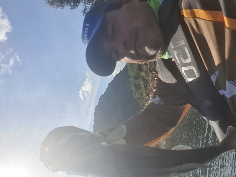 Fish Profile Picture