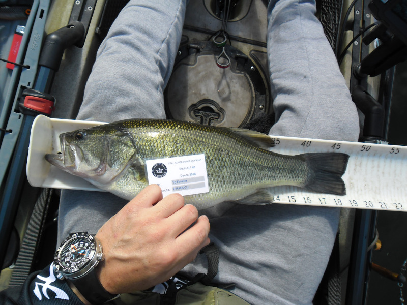 Fish Measure Picture
