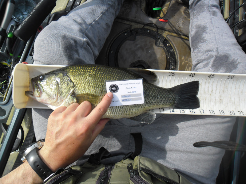 Fish Measure Picture