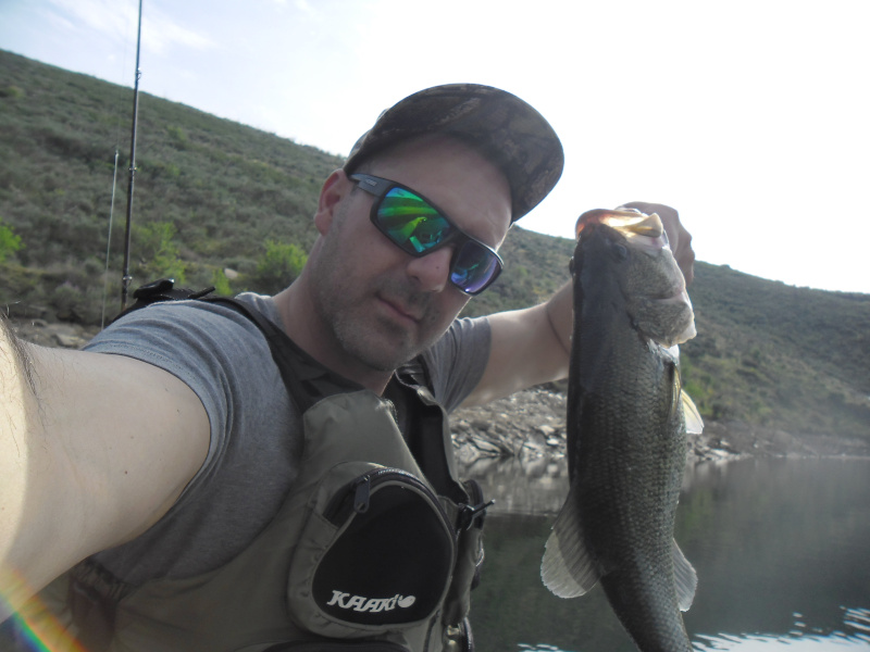 Fish Profile Picture