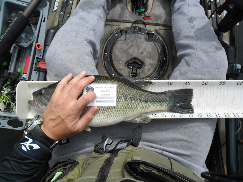 Fish Measure Picture