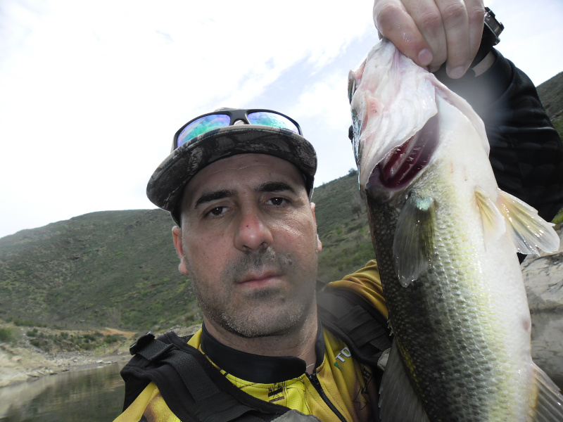 Fish Profile Picture