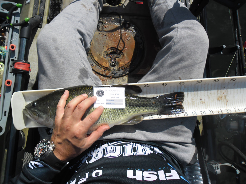 Fish Measure Picture